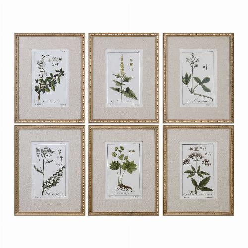 GREEN FLORAL BOTANICAL STUDY FRAMED PRINTS, S/6