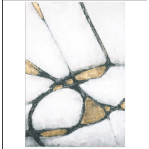 abstract-in-gold-and-black-canvas1