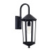Ellsworth 1-Light Outdoor Wall Lantern, Black 