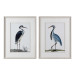 shore-birds-framed-prints-s2